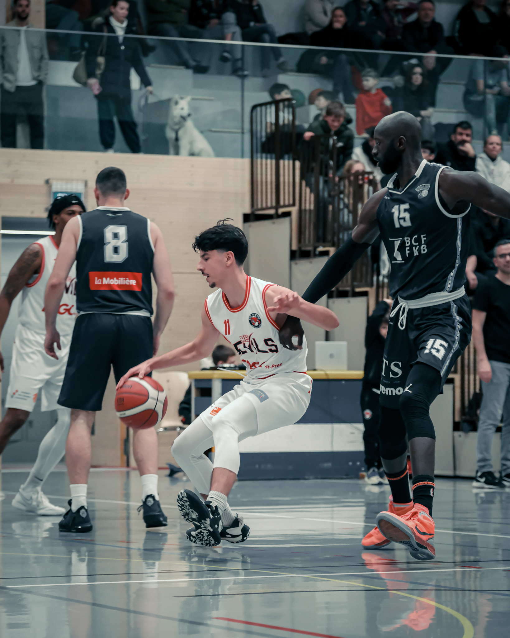 2024-02-03 LNB Red Devils vs Villars | Red Devils Morges St-Prex Basketball